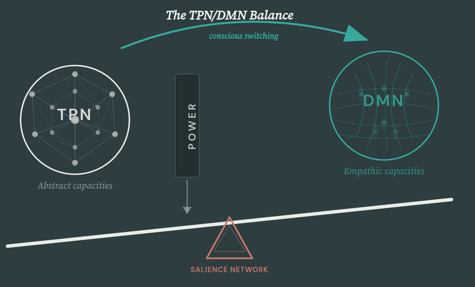 TPN/DMN balance: power activates the analytical network and suppresses empathy